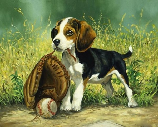 Бигль собака картины