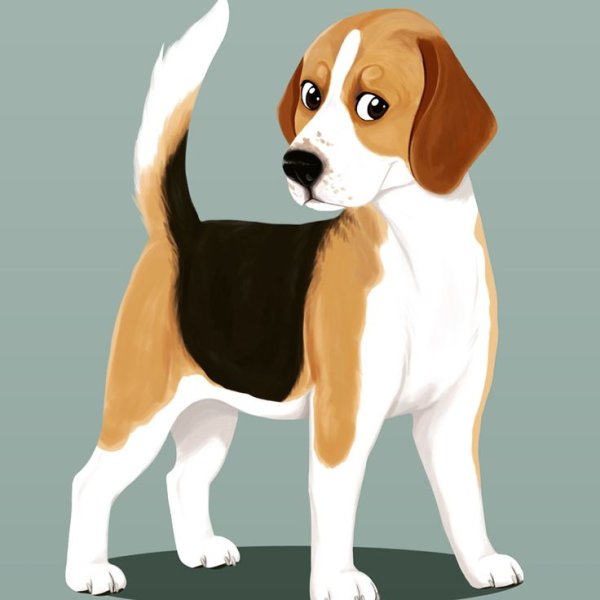 Бигль рисунок