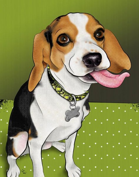 Поп арт Бигль