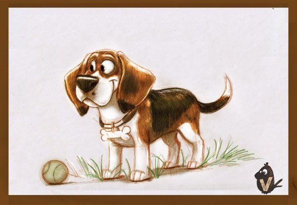 Бигль иллюстрация