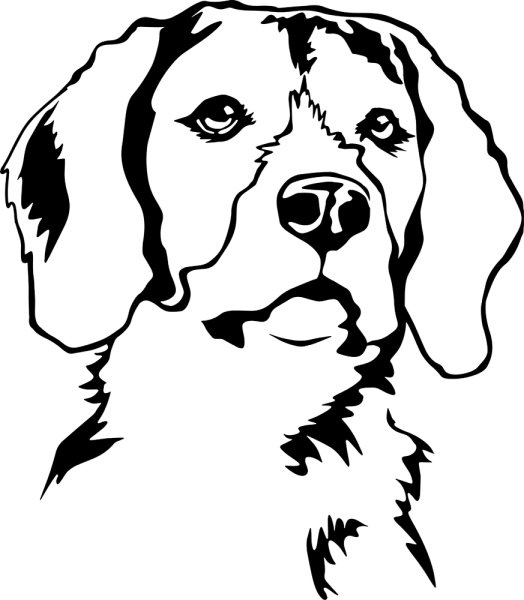 Бигль вектор