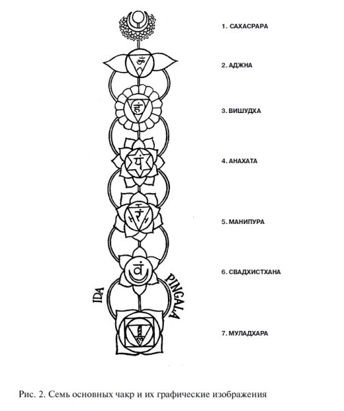 Муладхара чакра схема