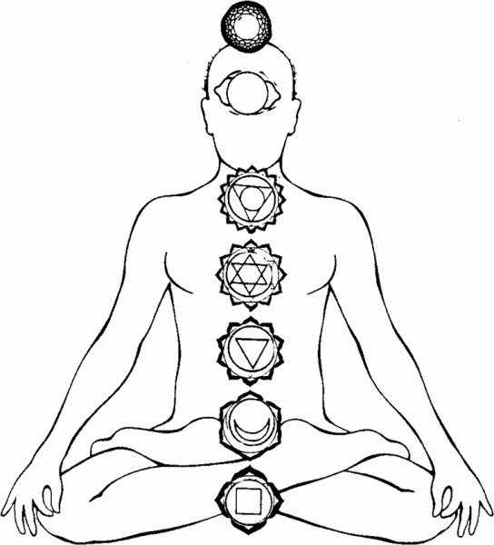 Лотос чакра Свадхистана