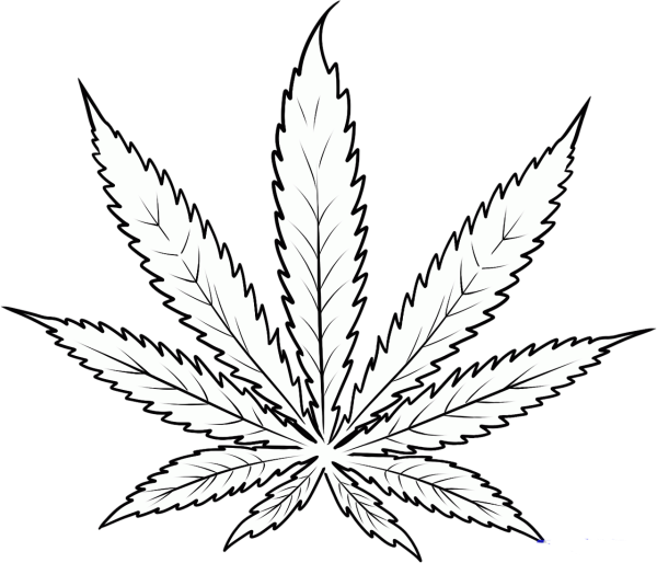 Лист марихуаны Cannabis