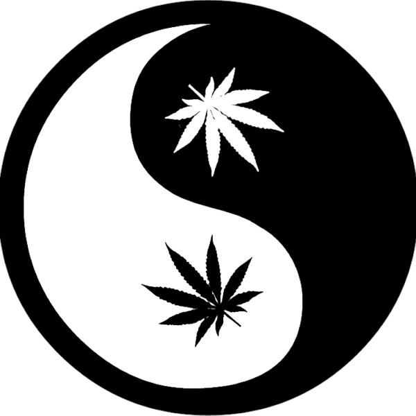 Марихуана эскиз