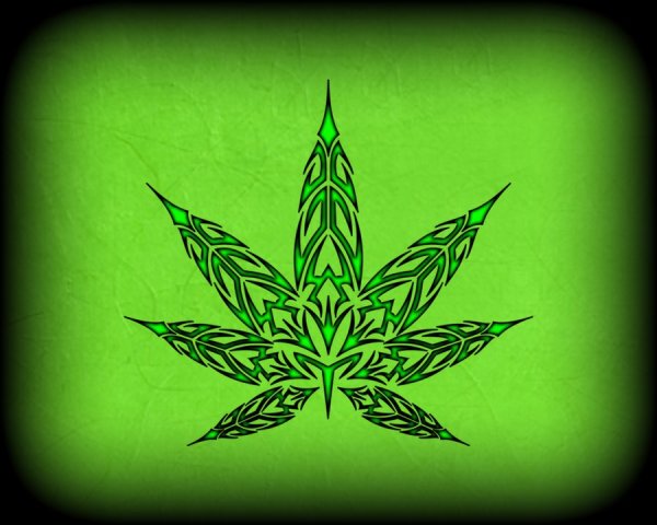 Конопля узор