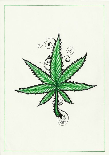 Лист марихуаны/лист каннабиса