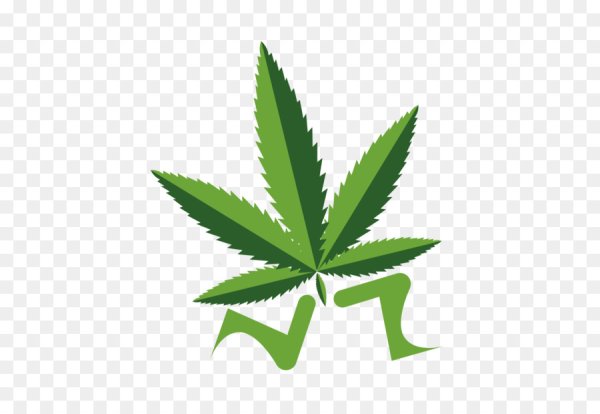 Конопля без фона