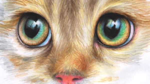 Глаза животных цветными карандашами