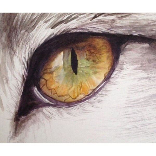 Кошачьи глаза акварелью