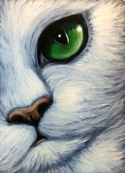 Глаза кошки цветными карандашами