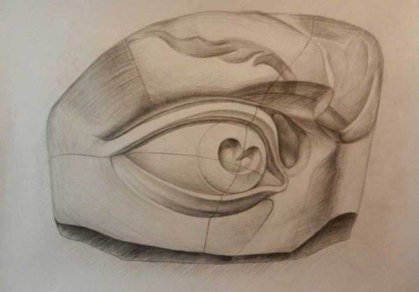 Глаз Давида Академический рисунок