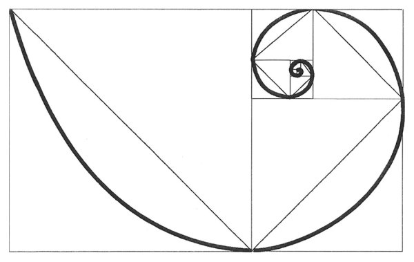 Идеальная спираль золотое сечение