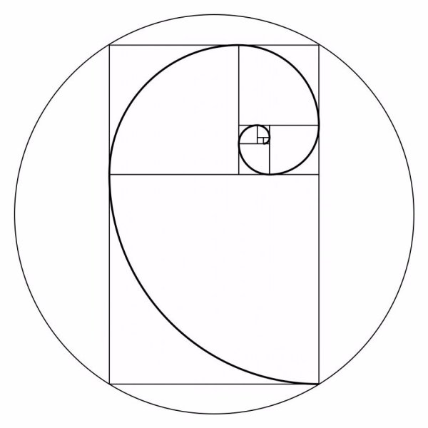 Золотая спираль спираль Фибоначчи
