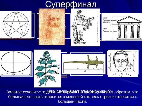 Золотое сечение