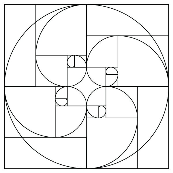 Золотая спираль спираль Фибоначчи