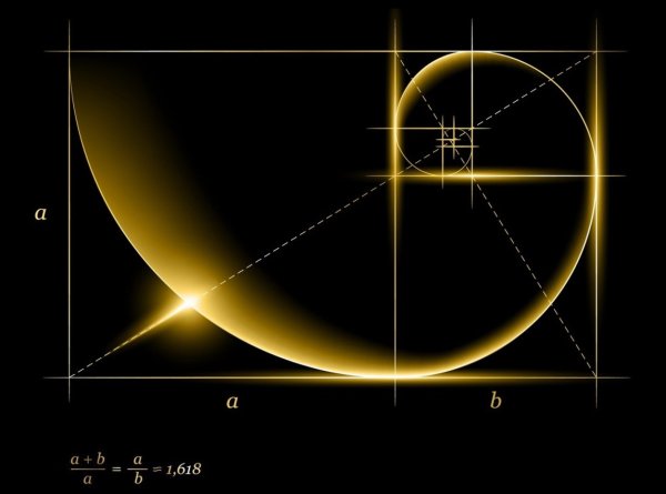 Золотое сечение Фибоначчи