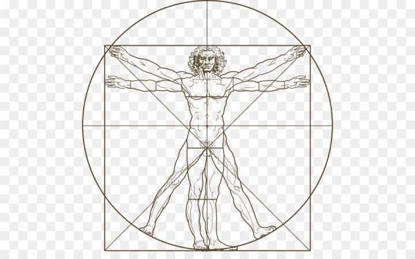 Леонардо Давинчи человек в круге