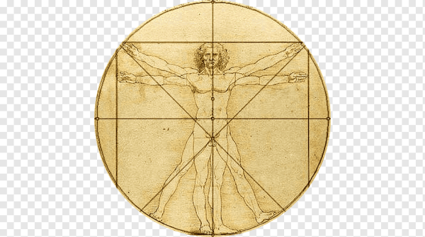 Витрувианский человек золотое сечение
