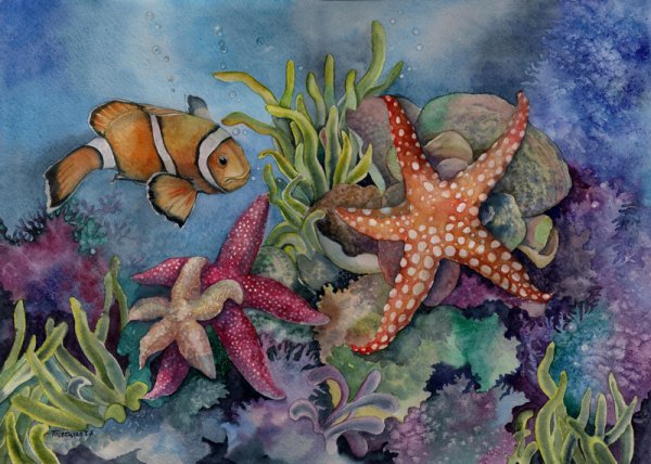 Раскраска осьминог