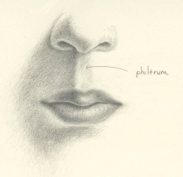 Зарисовки губ мужские