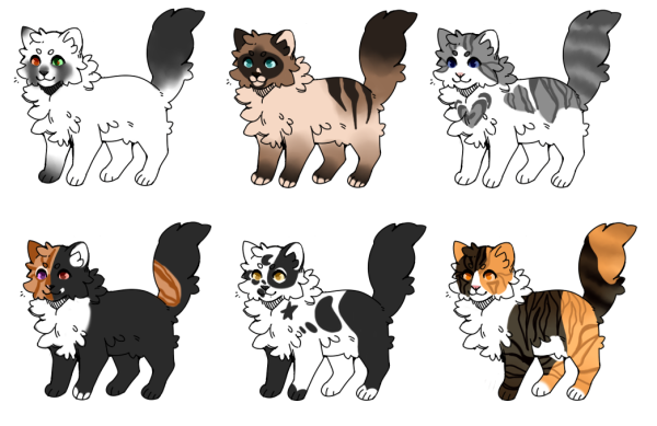 Адопты коты с аксессуарами