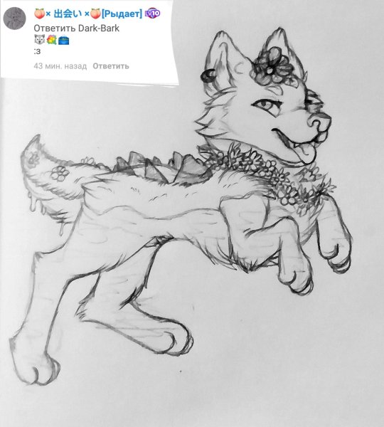 Петы в адопт ми рисунки для срисовки