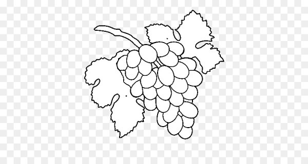 Виноградная лоза контур