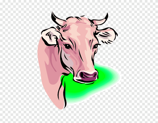 Коровья голова