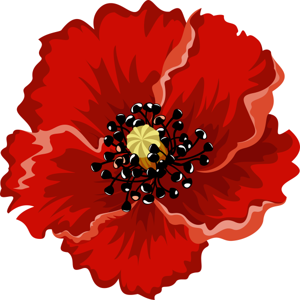 Мак рисунок