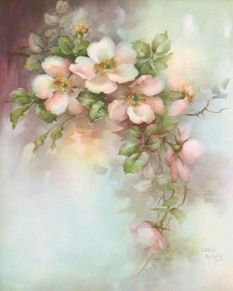 Акварельные иллюстрации детские