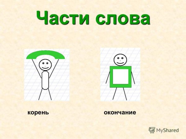Части слова корень и окончание