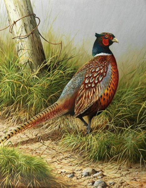 Terance James Bond картины