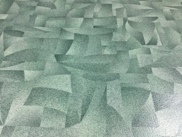 Линолеум Tarkett Force Canvas 2