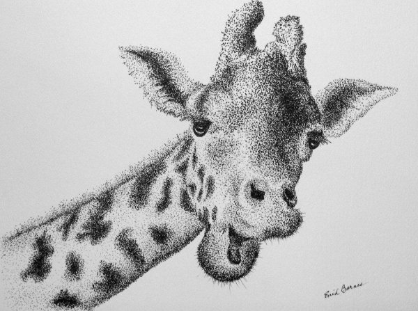 Рисунок тушью точками