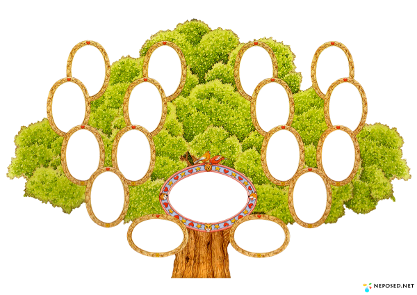 Таблица генеалогическое Древо семьи