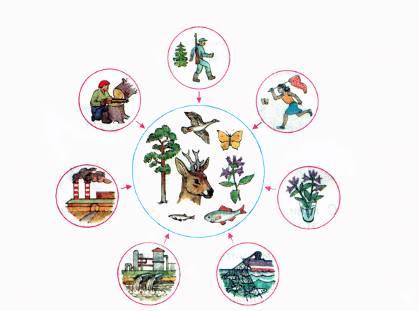Рисунок на тему береги растения
