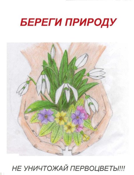 Берегите растения знаки