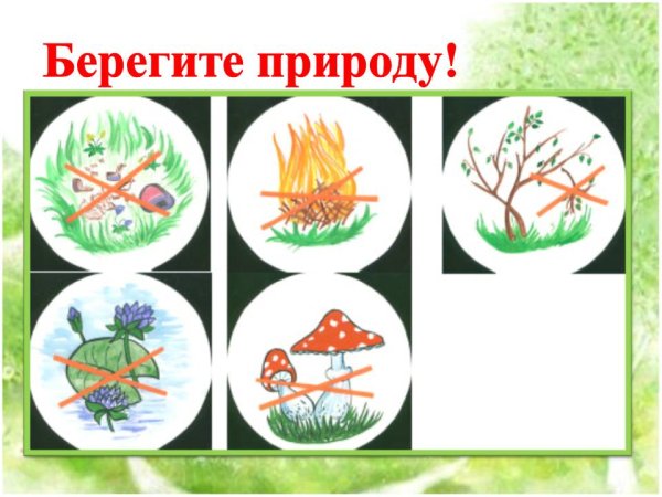 Рисование экологических знаков