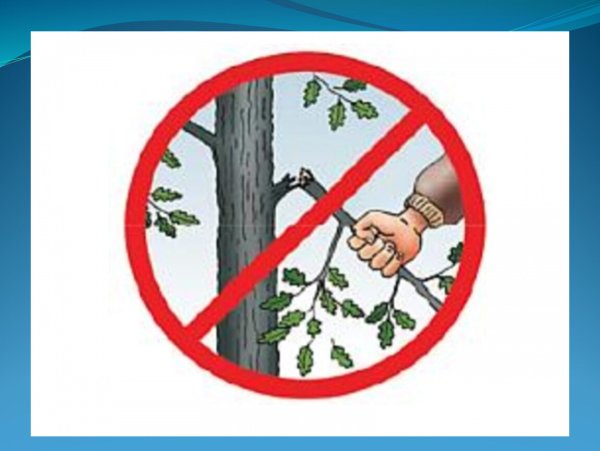 Охрана растений