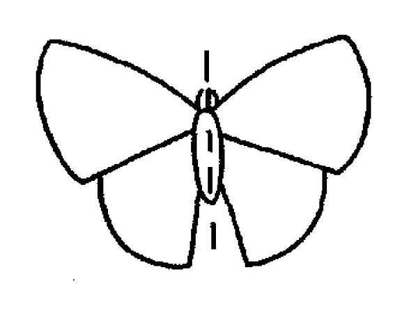 Рисование симметричных форм бабочка