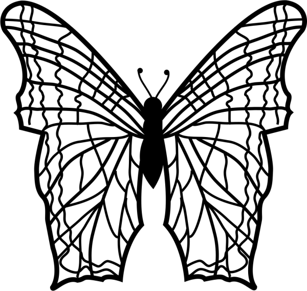 Бабочка симметричная рисунок (43 фото)