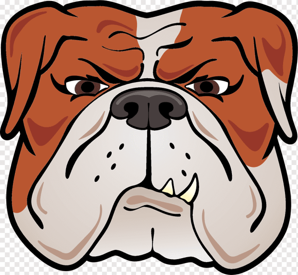 Голова собаки