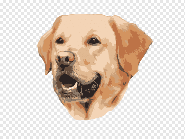 Голова собаки