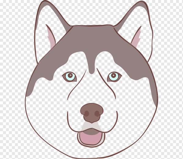 Нарисовать морду собаки