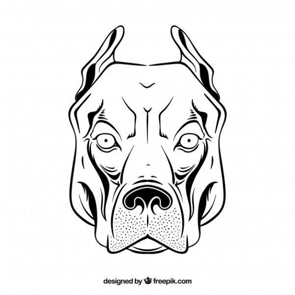 Собачья морда эскиз