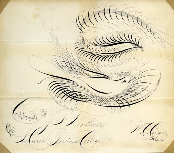 Каллиграфическое рисование