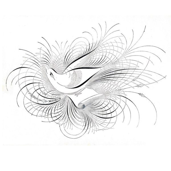 Каллиграфическое рисование пером