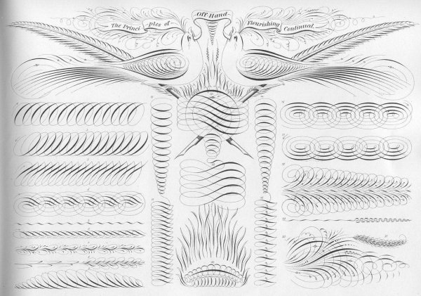 Упражнения по каллиграфии