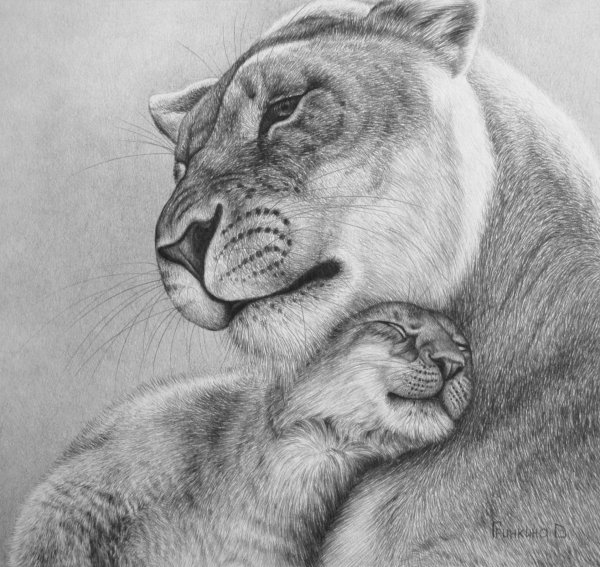 Львица и Львенок эскиз